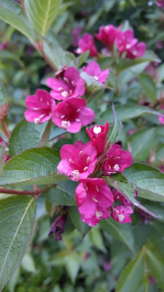 IMG_20250524_214042.jpg