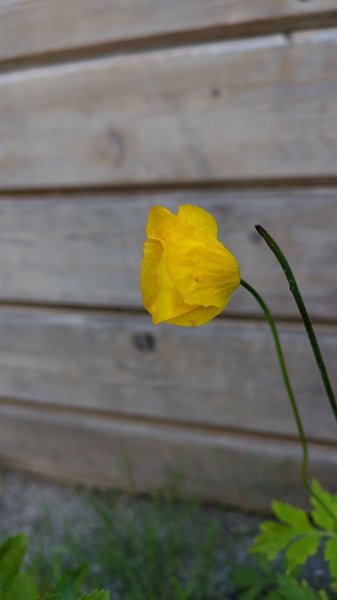 IMG_20250530_175740.jpg