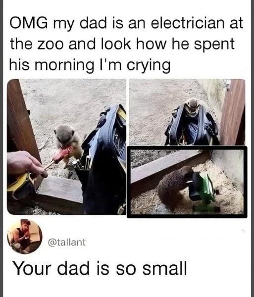 505855109_10161346753347006_2254478553228051042_n.jpg 505855109_10161346753347006_2254478553228051042_n.jpg