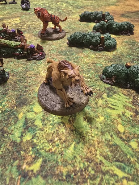 20250616_190328.jpg 20250616_190328.jpg