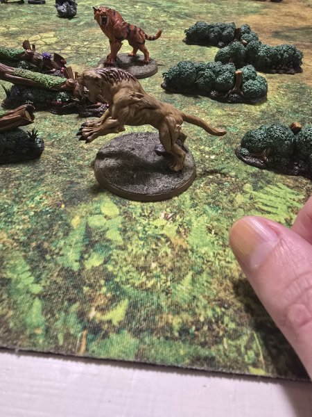 20250616_190343.jpg 20250616_190343.jpg