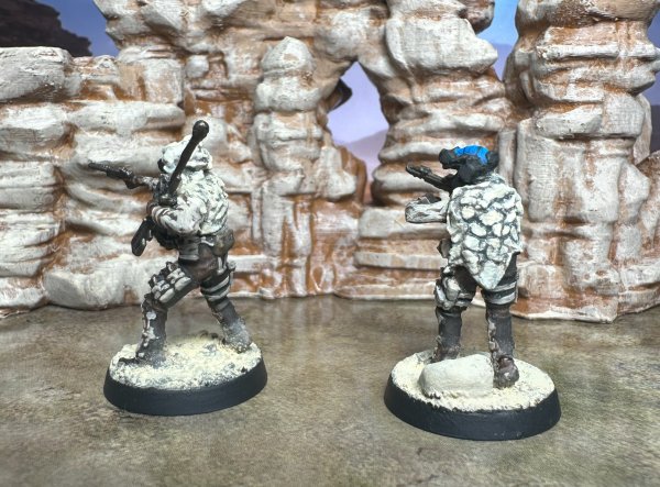 warden20250608_UN specialists 2.jpg