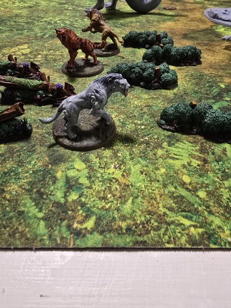 20250618_010407.jpg 20250618_010407.jpg