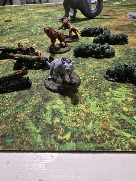 20250618_010402.jpg 20250618_010402.jpg