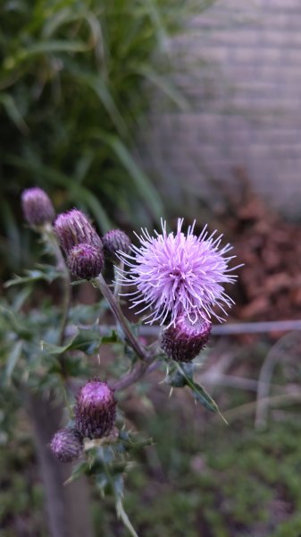 IMG_20250616_215759.jpg IMG_20250616_215759.jpg