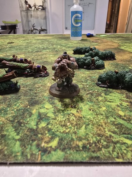 20250619_150433.jpg 20250619_150433.jpg