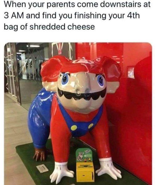 17-parents-come-downstairs-at-3-am-and-find-finishing-4th-bag-shredded-cheese.jpg