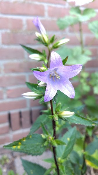 IMG_20250627_171838.jpg