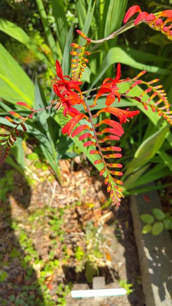 IMG_20250628_172117.jpg