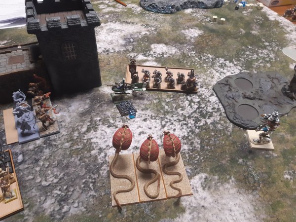 2-right flank.jpg