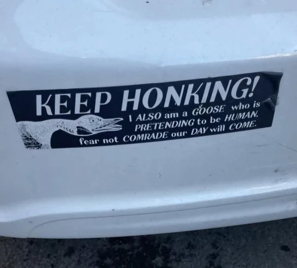 keep-honking-also-am-goose-who-is-pretending-be-human-fear-not-comrade-our-day-will-come.jpg
