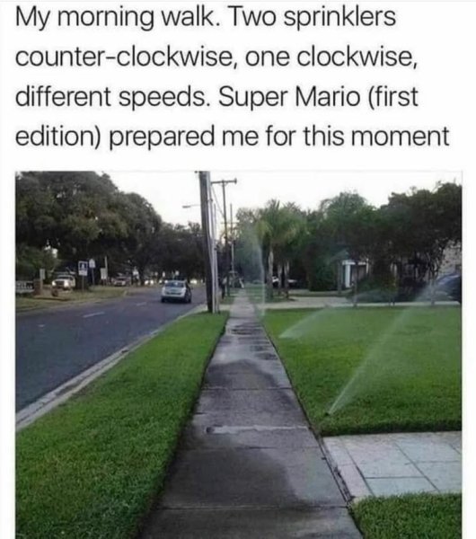 514349654_1202233211940076_6758695063504571887_n.jpg