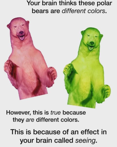 518369942_1201250202040705_2629691526665816936_n.jpg
