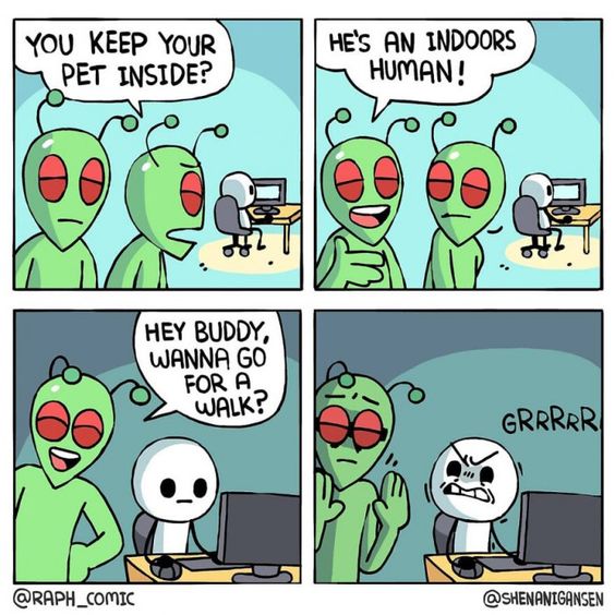 528384134_1246827910789085_4494101794257060268_n.jpg