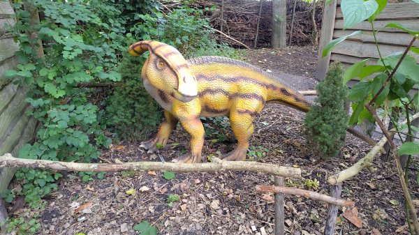 IMG_20250805_104606.jpg IMG_20250805_104606.jpg