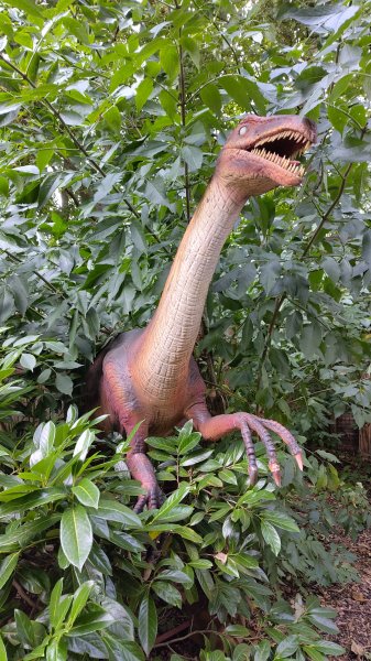 IMG_20250805_104459.jpg IMG_20250805_104459.jpg