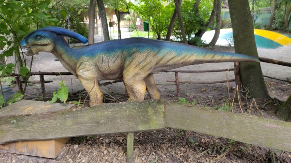 IMG_20250805_113136.jpg IMG_20250805_113136.jpg