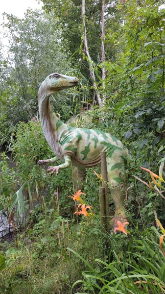 IMG_20250805_121301.jpg IMG_20250805_121301.jpg