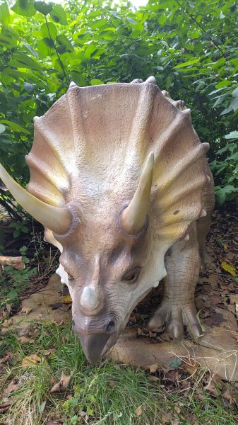 IMG_20250805_121618.jpg IMG_20250805_121618.jpg