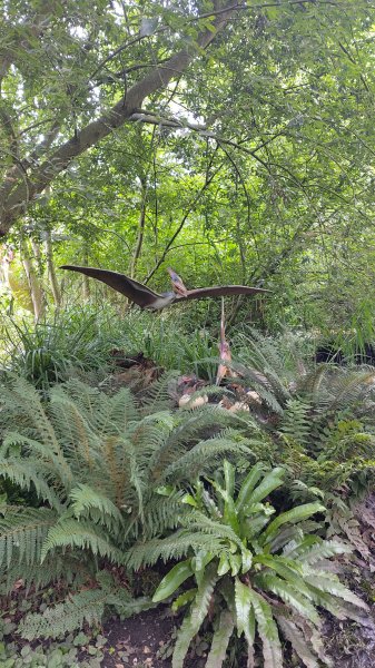 IMG_20250805_121639.jpg IMG_20250805_121639.jpg