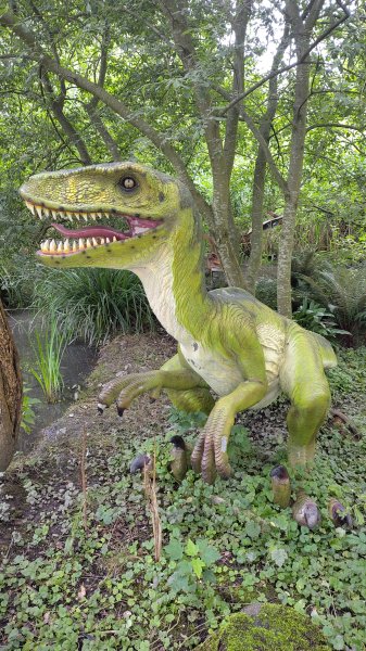 IMG_20250805_121648.jpg IMG_20250805_121648.jpg