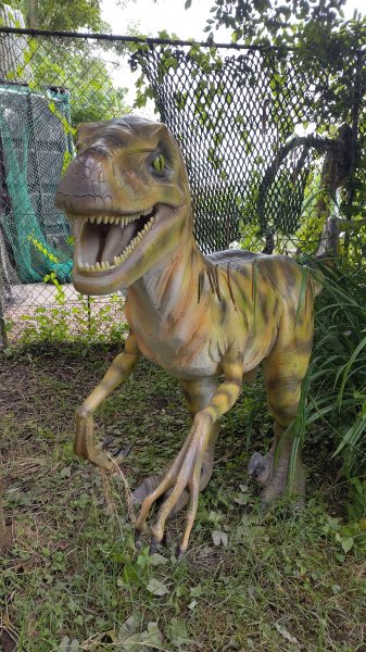 IMG_20250805_121659.jpg IMG_20250805_121659.jpg