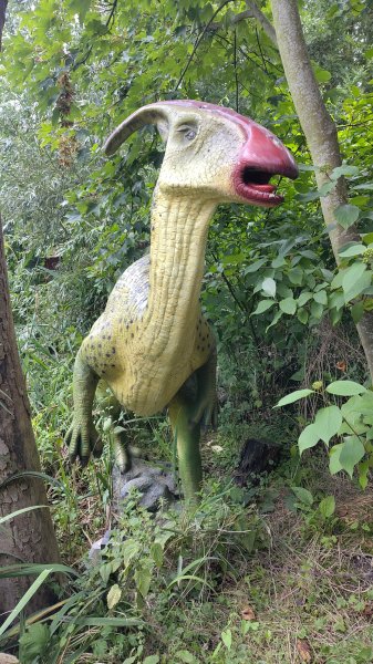 IMG_20250805_121716.jpg IMG_20250805_121716.jpg