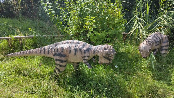 IMG_20250805_122618.jpg IMG_20250805_122618.jpg