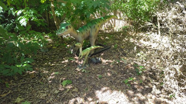 IMG_20250805_122911.jpg IMG_20250805_122911.jpg