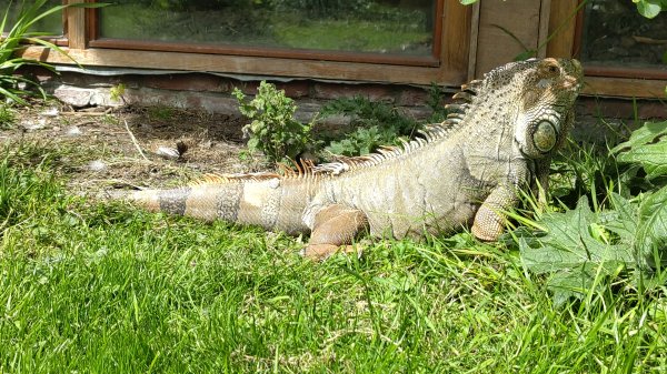 IMG_20250805_121825.jpg IMG_20250805_121825.jpg