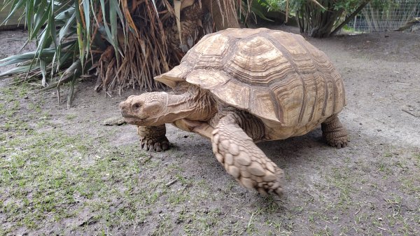 IMG_20250805_125133.jpg IMG_20250805_125133.jpg