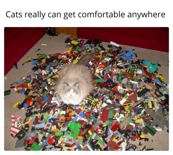 529724560_606631262514263_5328767631640506820_n.jpg