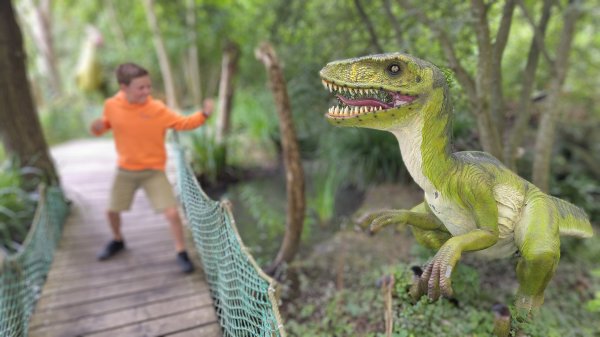 IMG_20250805_121651~2.jpg IMG_20250805_121651~2.jpg