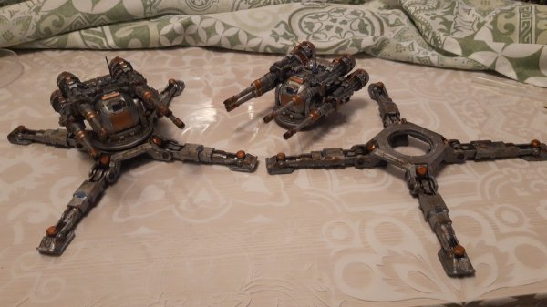 IMG-20250817-WA0030.jpeg