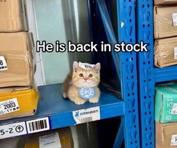 upload_2025-8-17_21-9-45.jpeg