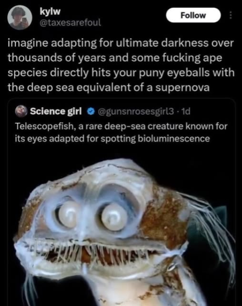 533056687_1175440891292343_3221806260573852828_n.png