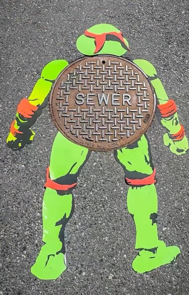 536280605_24219446137756971_1512563257604397814_n.jpg