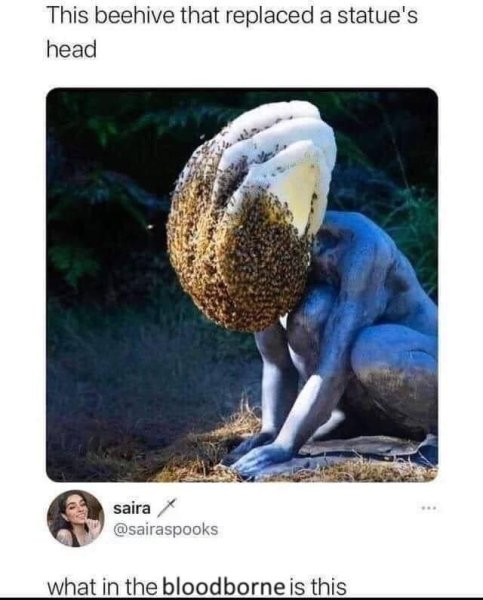 538123961_1360857208739766_195062324848202315_n.jpg 538123961_1360857208739766_195062324848202315_n.jpg