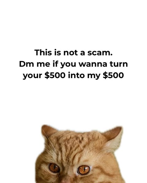 539625981_18134277253441342_8442198674904109946_n.jpg