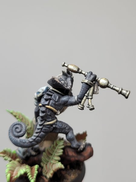 Skink 3.jpg