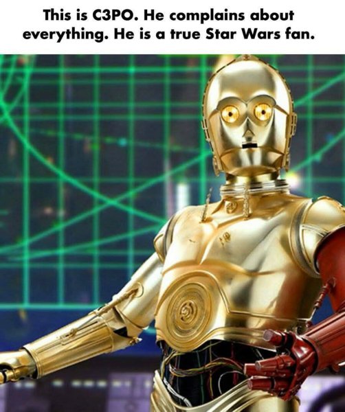 538216618_1216048947231447_2885254848139497082_n.jpg