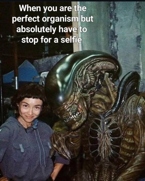 are-perfect-organism-but-absolutely-have-stop-selfie.jpg