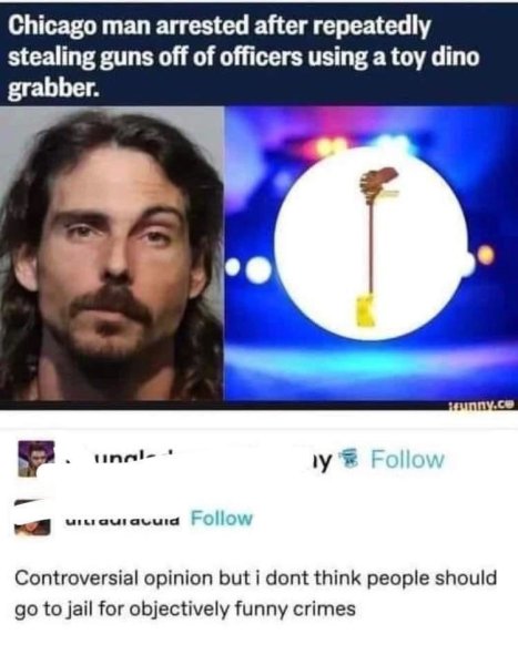 follow-controversial-opinion-but-dont-think-people-should-go-jail-objectively-funny-crimes.jpg