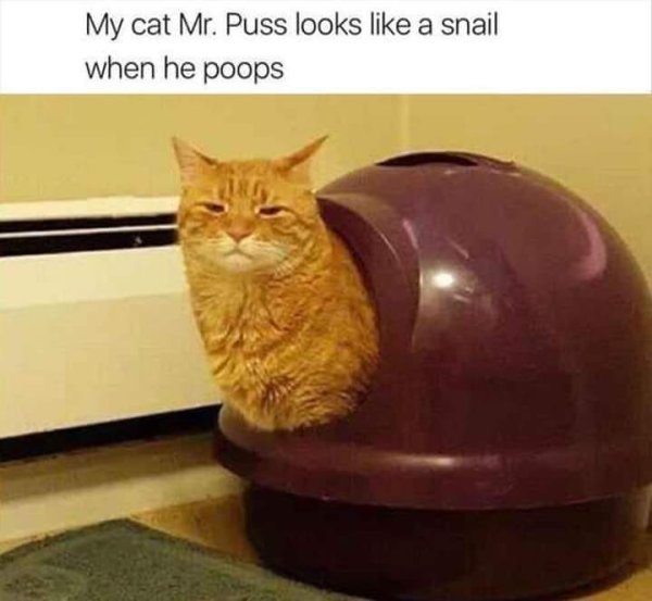 540615813_756503597003327_8647251355125834162_n.jpg
