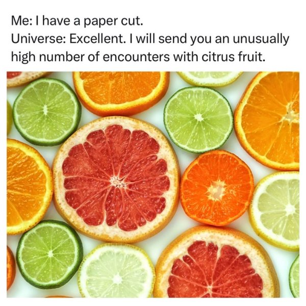 jj.jpg