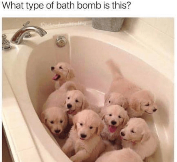 type-bath-bomb-is-this.png