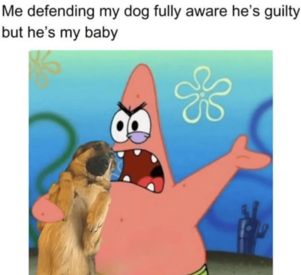 defending-my-dog-fully-aware-hes-guilty-but-hes-my-baby-f.png