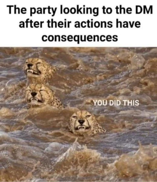 541454010_122250394976019731_8309511261598084430_n.jpg
