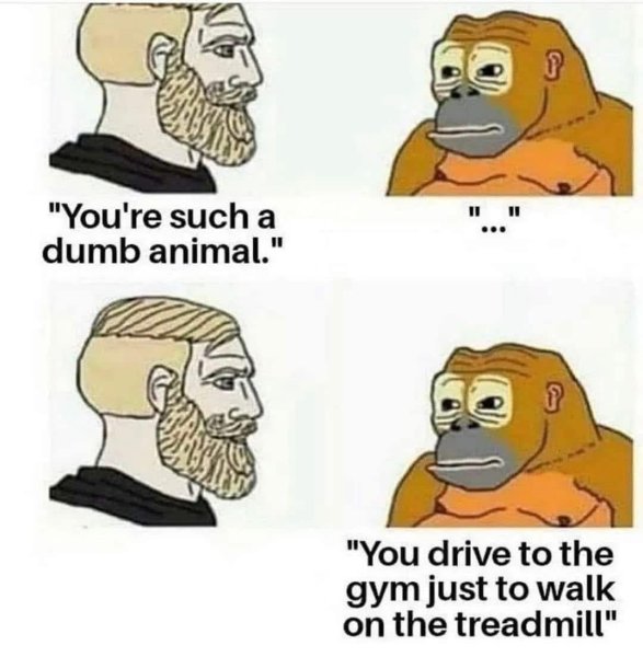 542611487_24589950330642635_4761292154799550281_n.jpg