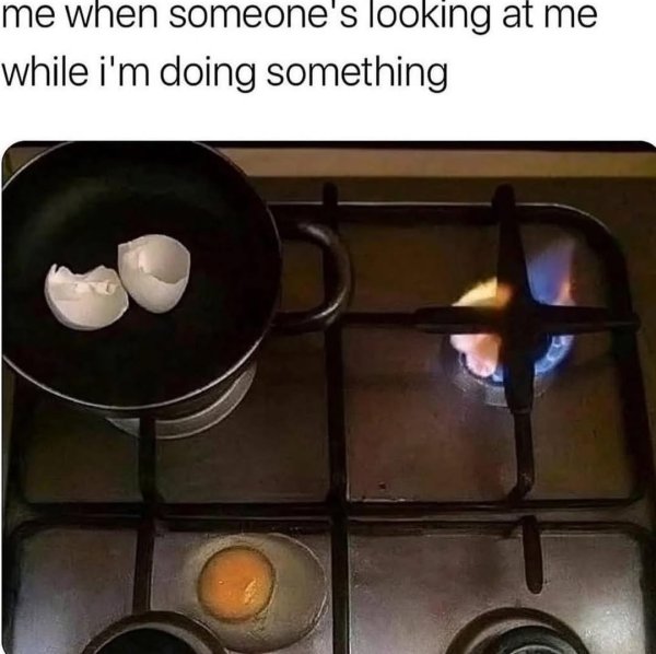 543160354_1241393781335376_2382826926559493959_n.jpg